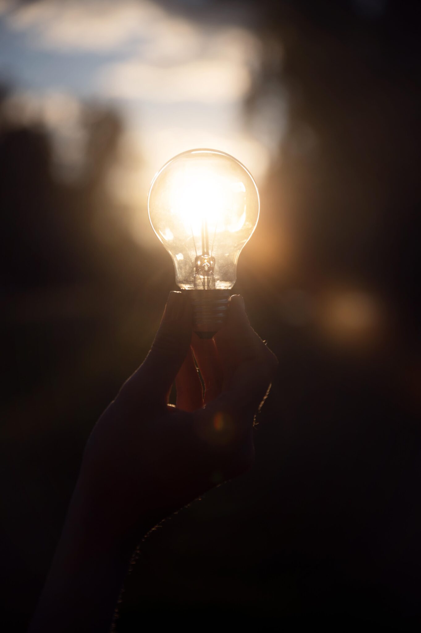 🛡️⚡ Guía de Alta de Luz 2026: ¿Cómo activar tu suministro sin morir en el intento?